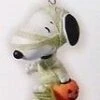 2010 Peanuts Gang Treats For Snoopy *Halloween