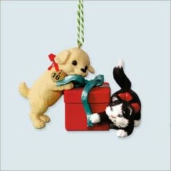 2016 Puppy/Kitten Complement Mischievous And Loving *Club (Sep)