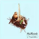 2005 Nature's Sketchbook New Joys Marjolein Bastin