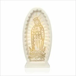 2015 Our Lady Of Guadalupe