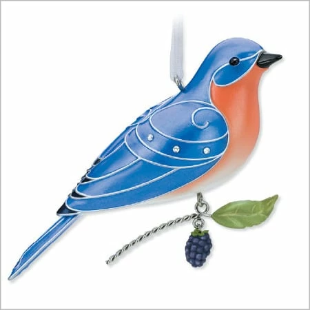 2010 Beauty Of Birds 6th Eastern Bluebird