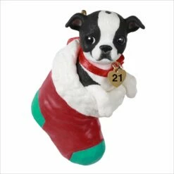 2021 Puppy Love 31st Boston Terrier
