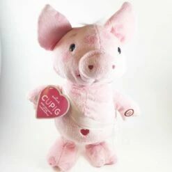 Cupig Plush Pig And Book *Magic Set Of 2