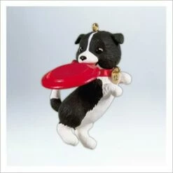 2012 Puppy Love 22nd