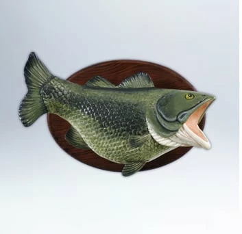 2012 Loudmouth Bass *Magic (No Box)