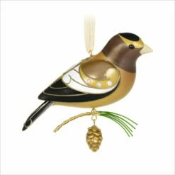 2021 Beauty Of Birds 17th Evening Grosbeak
